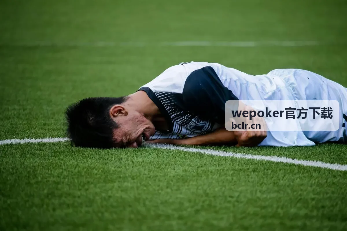 wepoker官方下载首次启动基础设置说明配图